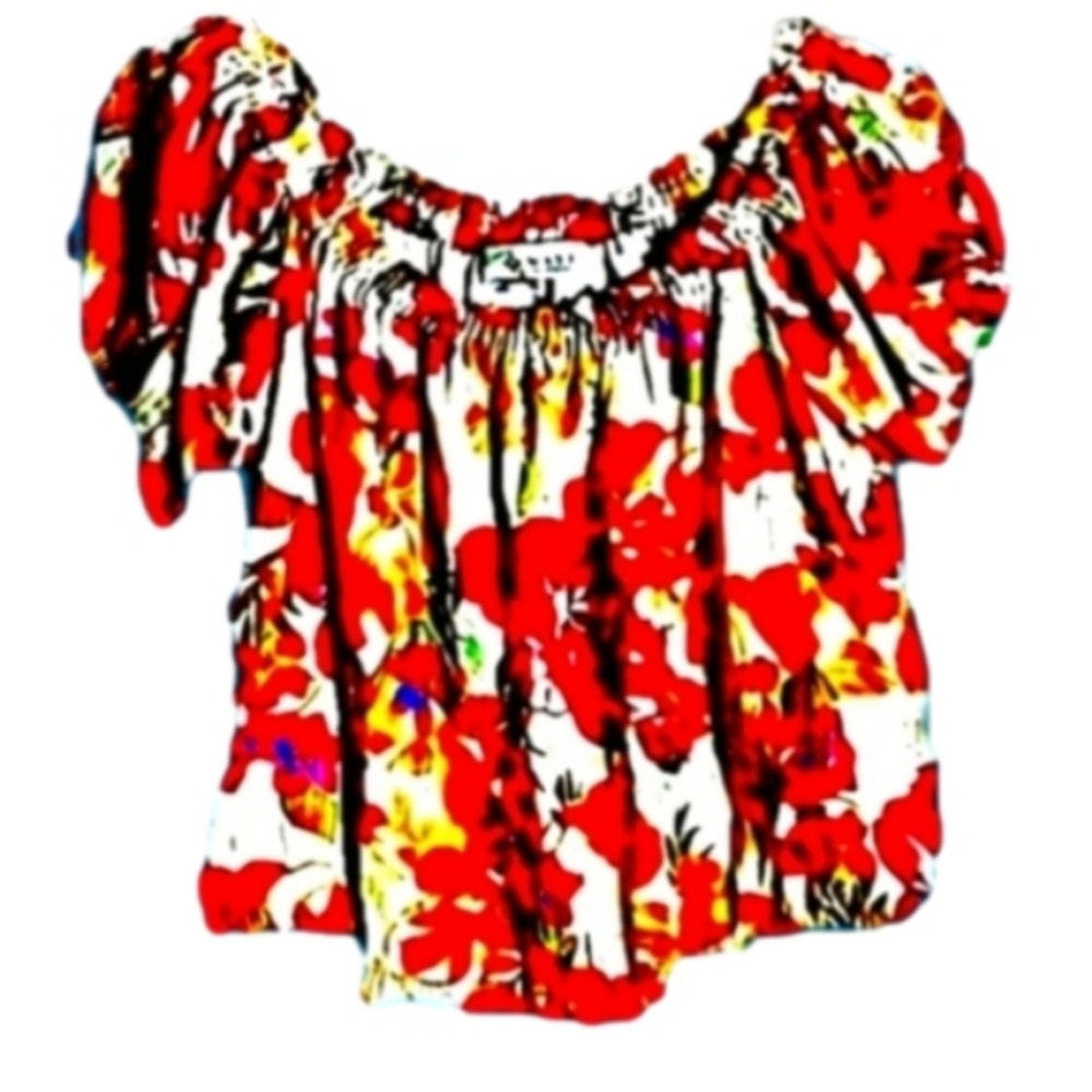 Wayf M Pink And White Floral Off Shoulder Baby Doll Chiffon Lined Crop Top